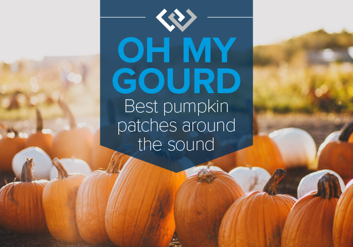 Oh My Gourd! Best Pumpkin Patches Around the Sound