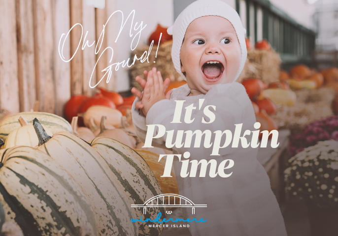 Oh My Gourd! It's Pumpkin Time