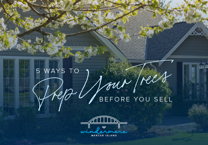 5 Ways to Prep Your Trees Before You Sell
